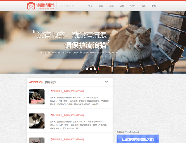貓咪領(lǐng)養(yǎng)網(wǎng)